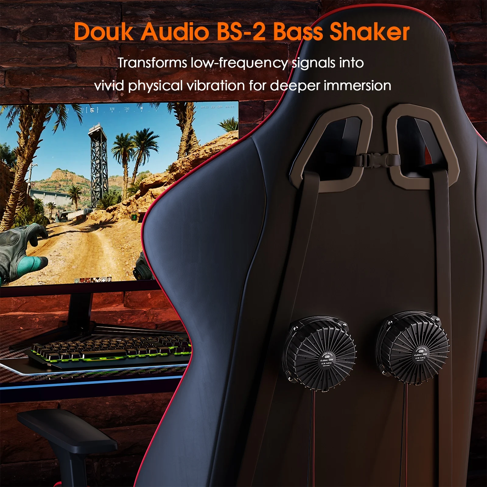 Douk Audio BS-2 30W 4Ω Bass Sh - đánh giá và giá Audio Home Cinema