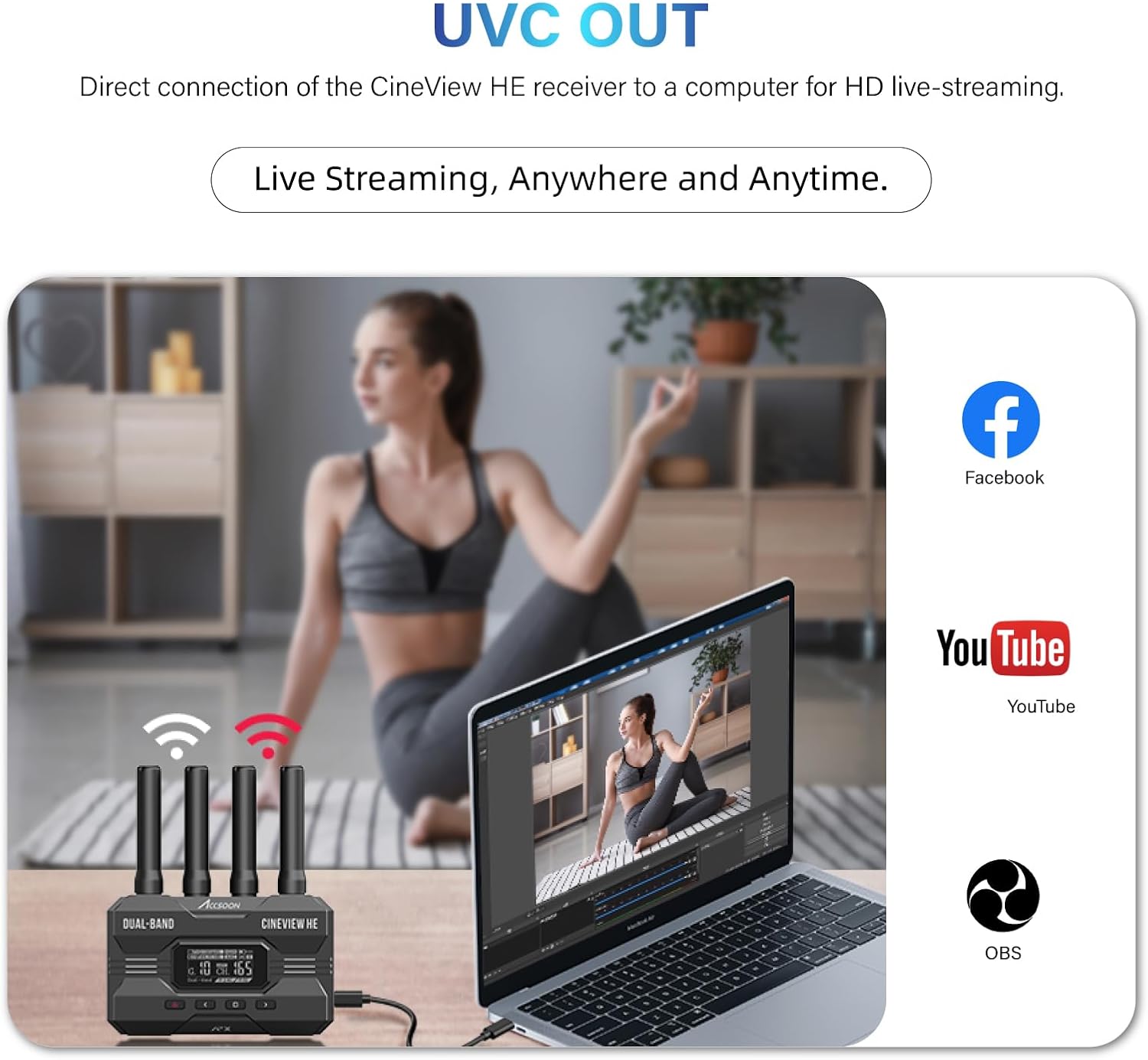 ACCSOON CineView HE HDMI Video - đánh giá và giá Home Cinema Wireless